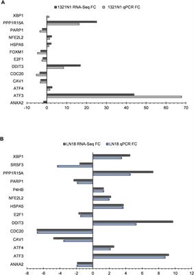 Inhibitory Mechanism of Combined Hydroxychavicol With Epigallocatechin-3-Gallate Against <mark class="highlighted">Glioma Cancer</mark> Cell Lines: A Transcriptomic Analysis